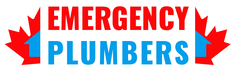 Emergency Plumbers | Water Damage Toronto | Mold Removal Service